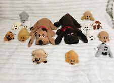 Hornby pound puppies for sale  MORECAMBE