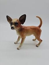 chihuahua dog for sale  Wheeling