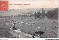 Aidp1 moutons 0037 d'occasion  France