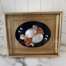 Vintage framed seashell for sale  Fergus Falls
