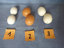 Set eier zur gebraucht kaufen  Mannheim