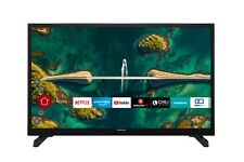 Hitachi h24e2300 fernseher gebraucht kaufen  Birkenfeld