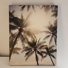 Palm trees beach for sale  Round Lake