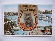 Dumfries postcard bridges for sale  FALKIRK