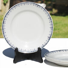 Lot assiettes plates d'occasion  Cerisy-la-Salle