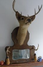 Stags head roe for sale  WATERLOOVILLE