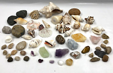 Crystals shells fossil for sale  WELWYN GARDEN CITY