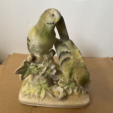 parakeets 2 for sale  Greene