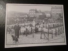 Postcard wakefield cattle for sale  MABLETHORPE