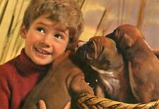 Cartolina cuccioli bulldog usato  Molfetta