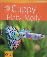 Guppy platy molly gebraucht kaufen  Rüthen