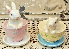 Pair adorable rabbits for sale  Milliken