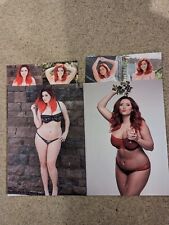 Lucy collett female for sale  BRIERLEY HILL