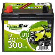 Greenmax 12v 30ah gebraucht kaufen  Dinklage