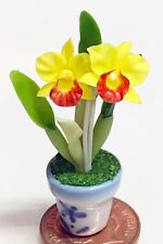 Red yellow orchid for sale  Shipping to Ireland