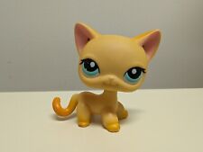 LPS Littlest Pet Shop gato de pêlo curto amarelo #339 olhos azuis manchados comprar usado  Enviando para Brazil