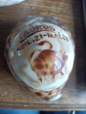Carved decorated cowrie for sale  BRACKNELL