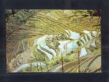 Used, D5791 Philippines Ifugao Village Banaue Mt Province postcard for sale  Shipping to South Africa