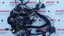 Ducati 1098 harness d'occasion  Expédié en Belgium