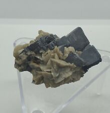 VERY NICE SMALL SIDERTIE CRYSTAL CLUSTER w. GALENA :EAGLE MINE,COLORADO,CLASSIC! for sale  Shipping to South Africa