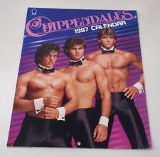 Calendario Chippendales 1987 pastel de carne de interés gay hombres stripper muscular vintage segunda mano  Embacar hacia Argentina