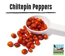 Chiltepin pepper seeds for sale  Heber