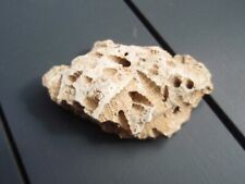 Empreintes fossiles d'occasion  Amiens-