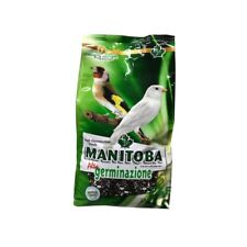 Manitoba alta germinazione usato  Pagani