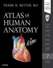 Atlas of Human Anatomy (Netter Basic - Brochura, por Netter MD Frank - Bom comprar usado  Enviando para Brazil