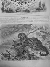 1878 feline jaguar d'occasion  Expédié en Belgium