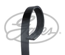 Gates drive belt for sale  NORTHAMPTON