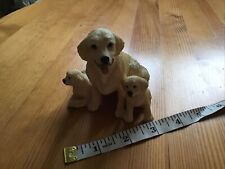 Leonardo golden labrador for sale  CHRISTCHURCH