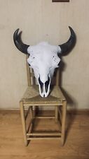 Buffalo skull authentic for sale  Nixa