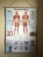 poster body for sale  CORBY