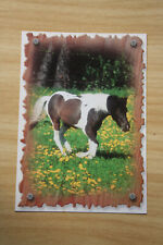 Pferde postkarte horse gebraucht kaufen  Berlin