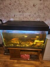Fish tank 300 for sale  GREAT YARMOUTH