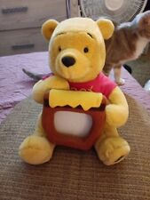 Winnie pooh holding for sale  Riverside