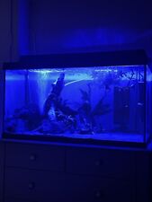 Tetra 105 fish for sale  LIVERPOOL