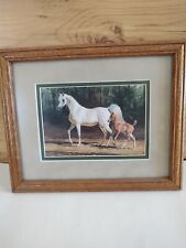 Mary haggard arabian for sale  Brownsville