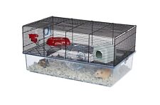 syrian hamster for sale  Vienna