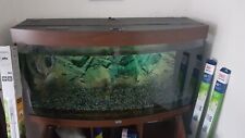 Juwel 260 Vision 4ft Aquarium Fish Tank Bow and Cabinet in dark wood. for sale  MACCLESFIELD