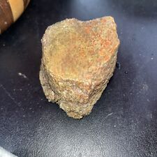 Agatized dinosaur gem for sale  Vancouver