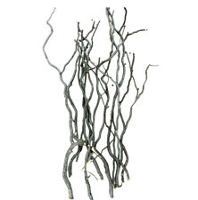Curly willow pack for sale  Shipping to Ireland