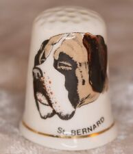 Saint bernard dog for sale  CAMELFORD
