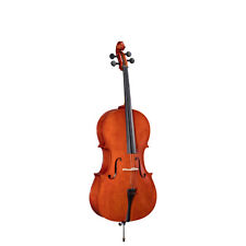 Violoncello soundsation virtuo usato  Porto Recanati