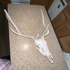 Caribou antler horn for sale  Mentor