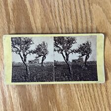 Antique stereoscope cards for sale  Wayland