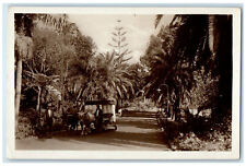 Usado, Cartão postal fotográfico c1930 entrada para o cassino Pavao Madeira Portugal RPPC comprar usado  Enviando para Brazil