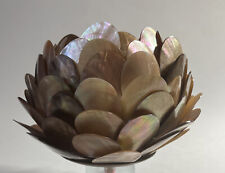 Rose gold seashells for sale  Dewey