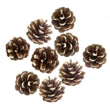 9pk pine cones for sale  Shipping to Ireland